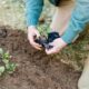 Curso de actividades auxiliares en viveros, jardines y centros de jardinería
